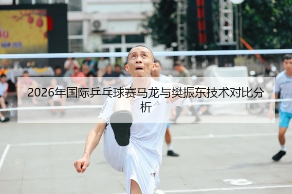 2026年国际乒乓球赛马龙与樊振东技术对比分析