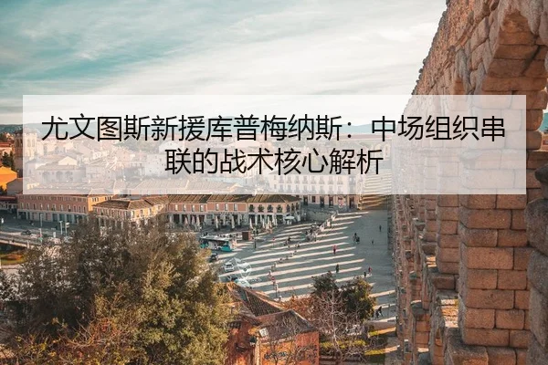 you-wen-tu-si-xin-yuan-ku-pu-mei-na-si-zhong-chang-zu-zhi-chuan-lian-de-zhan-shu-he-xin-jie-xi-3-710.jpg
